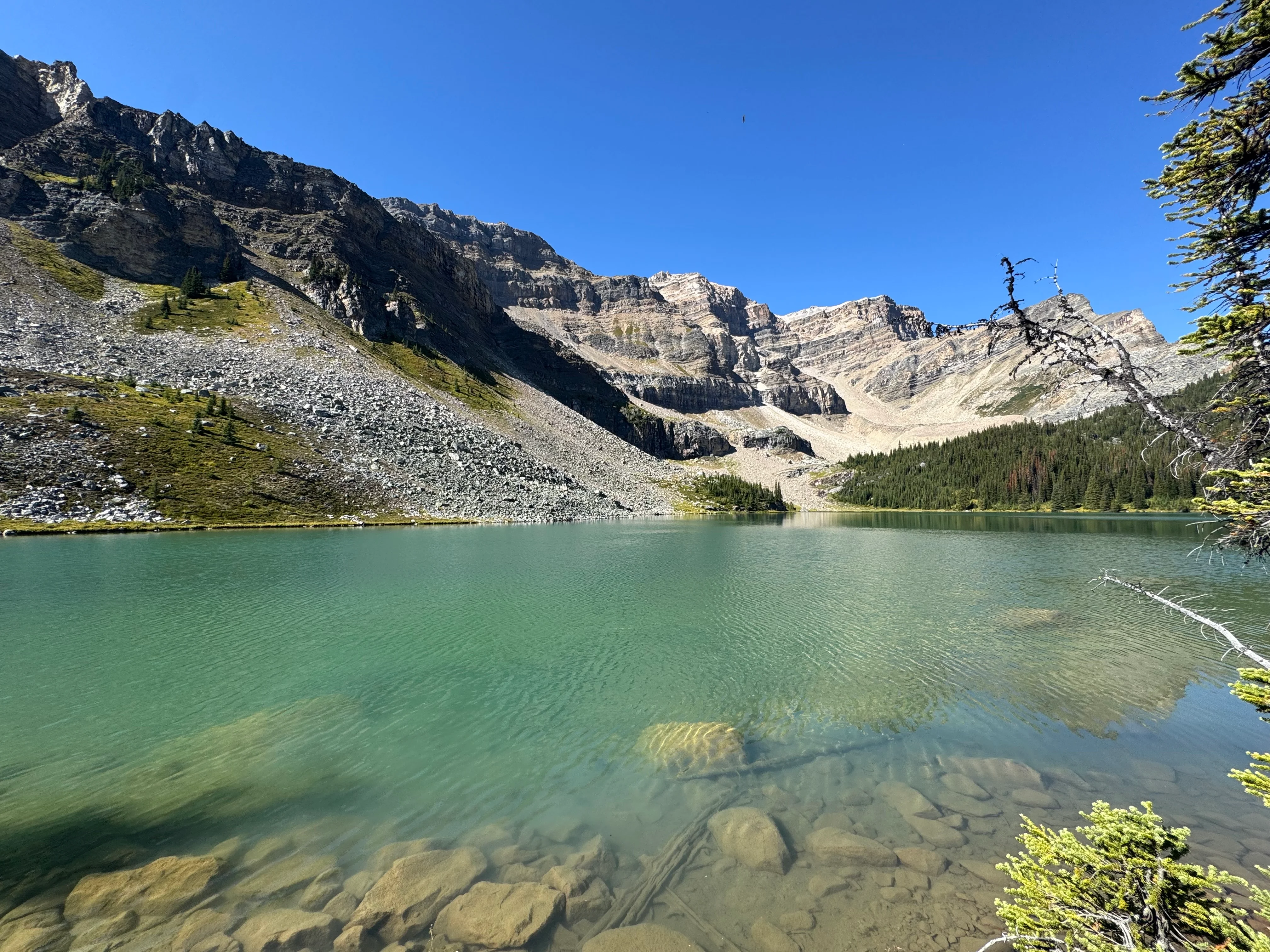 Moose Lake
