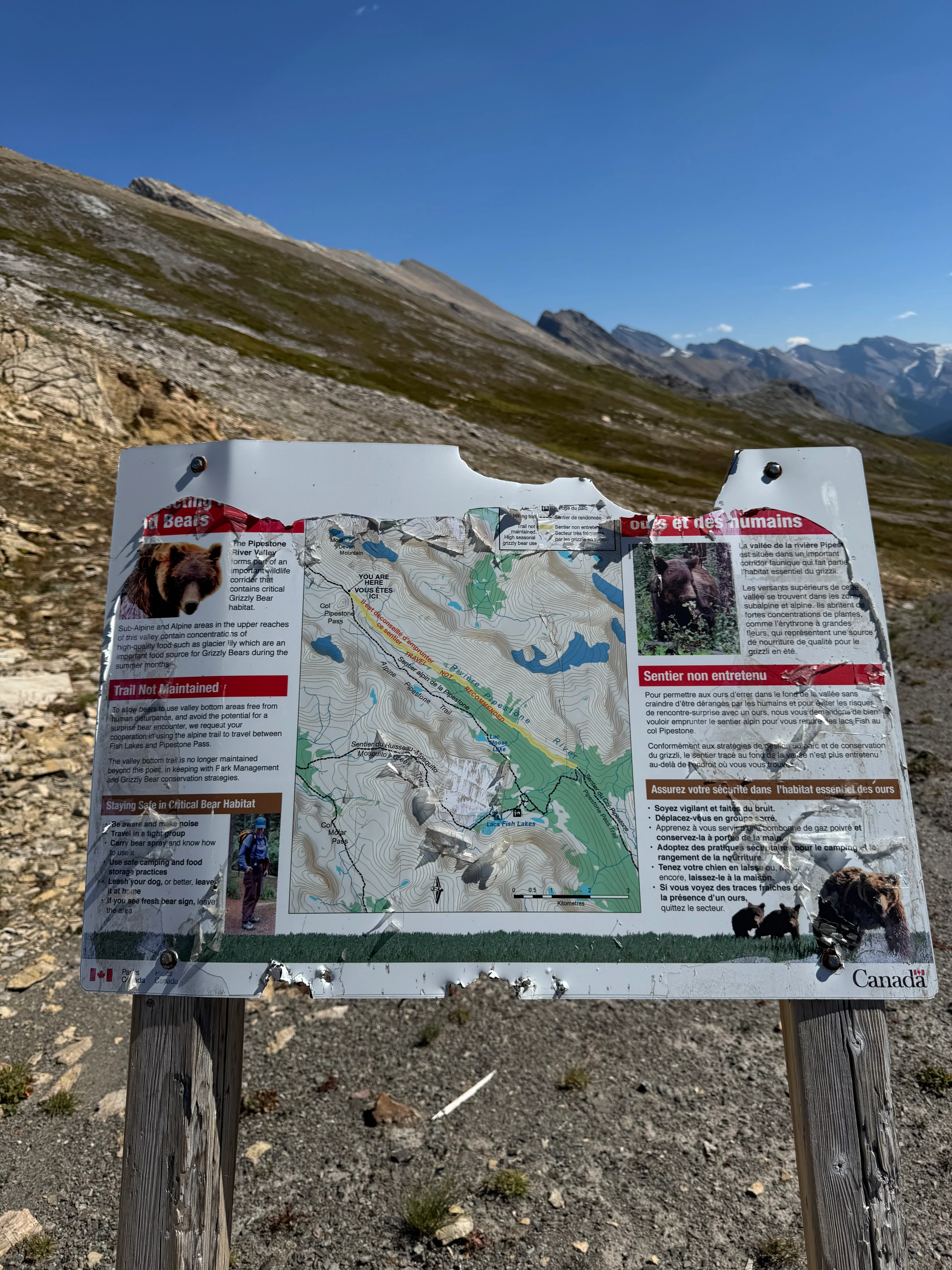 Bear warning sign